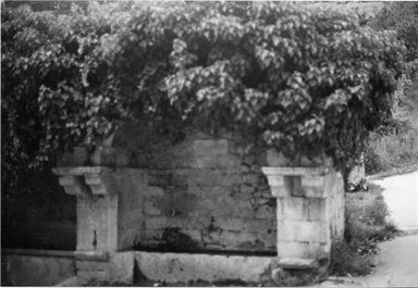 Fonte di Luco